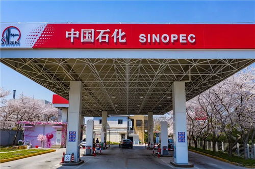中國(guó)石化37周年慶 在能源領(lǐng)域譜寫華章，租賃市場(chǎng)見證發(fā)展足跡