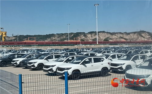 做強蘭州樞紐品牌，構建高質量發展快速引擎——房屋租賃助力城市新升級