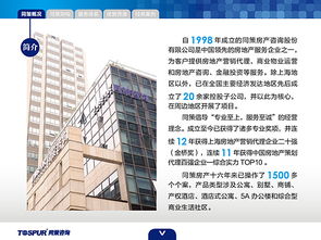 房地產(chǎn)咨詢服務 賦能決策，驅動價值